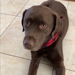 Meet your Posher, Marialena